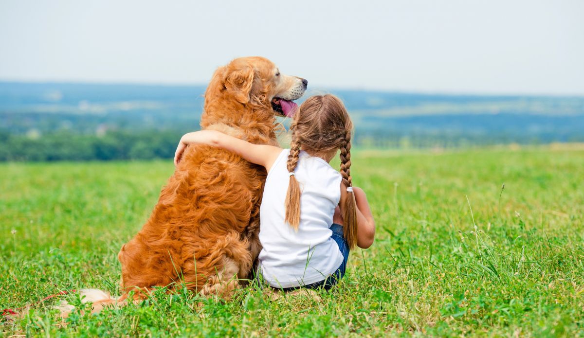 Девочка с рыжей собакой на поле